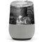 Alchemy Nine Lives of Poe Google Home Skin